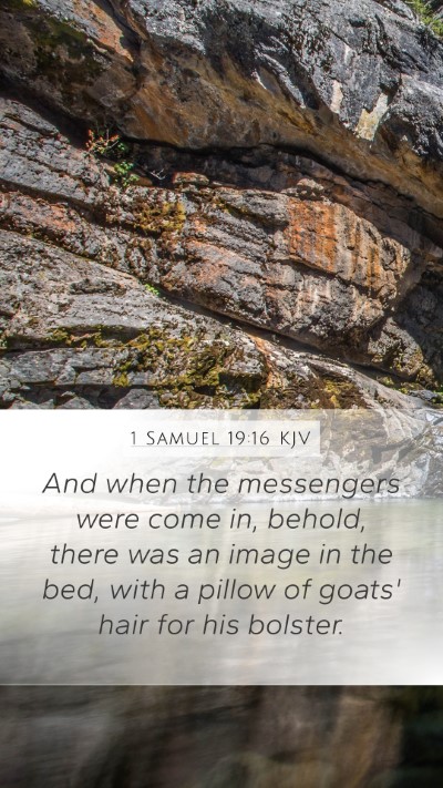 1 Samuel 19:16 Explained