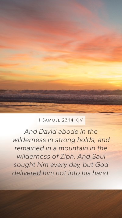 1 Samuel 23:14 Explained