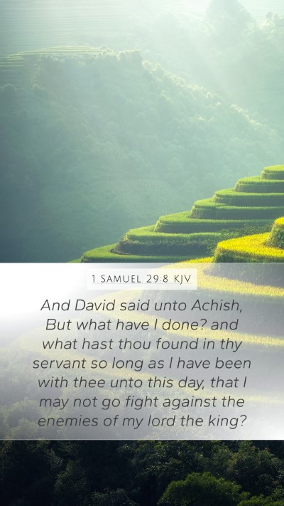 1 Samuel 29:8 Explained