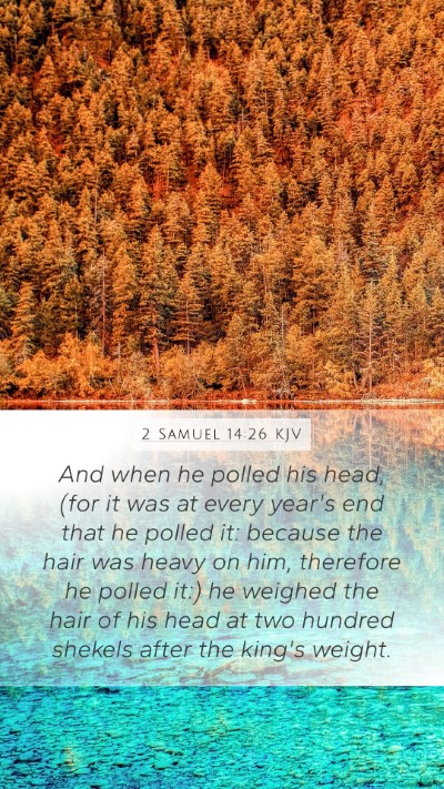 2 Samuel 14:26 Explained
