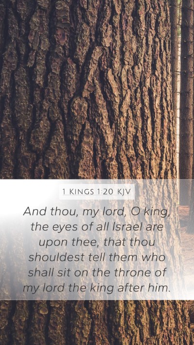1 Kings 1:20 Explained