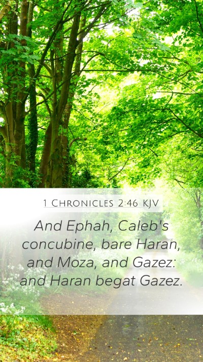 1 Chronicles 2:46 Explained