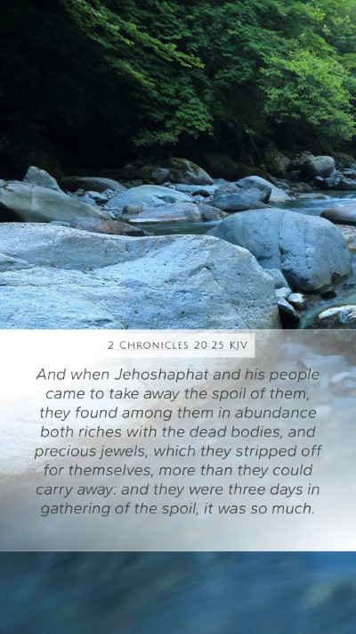 2 Chronicles 20:25 Explained