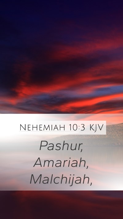 Nehemiah 10:3 Explained