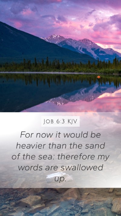 Job 6:3 Explained