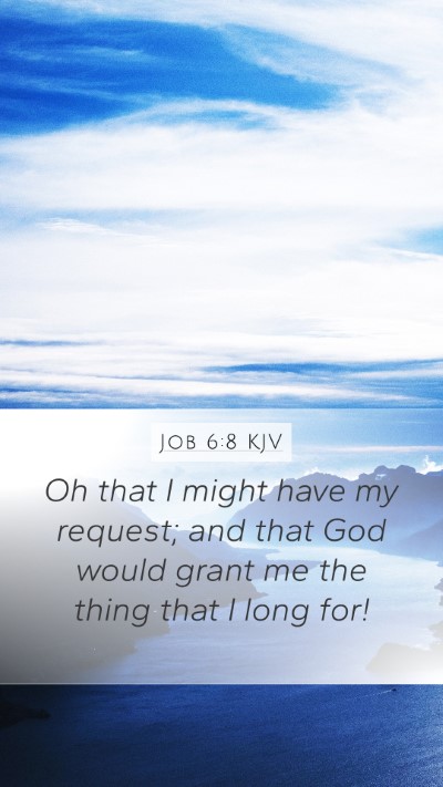 Job 6:8 Explained