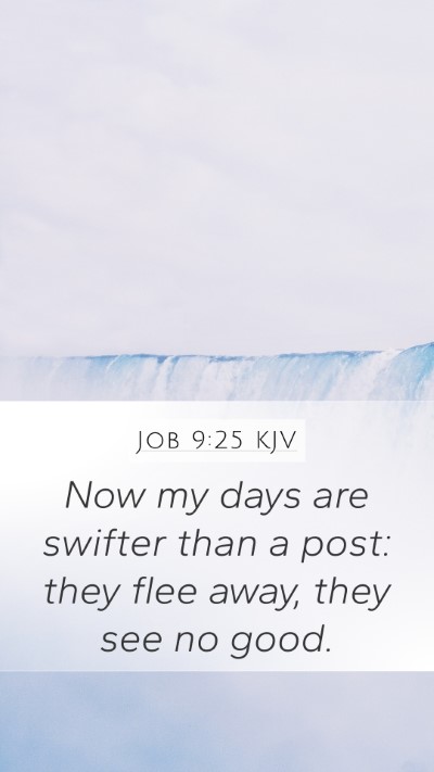 Job 9:25 Explained
