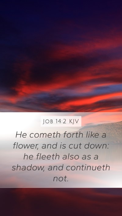 Job 14:2 Explained
