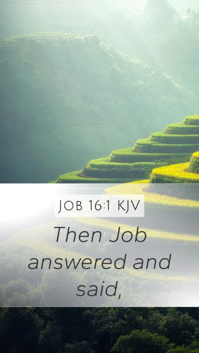 Job 16:1 Explained