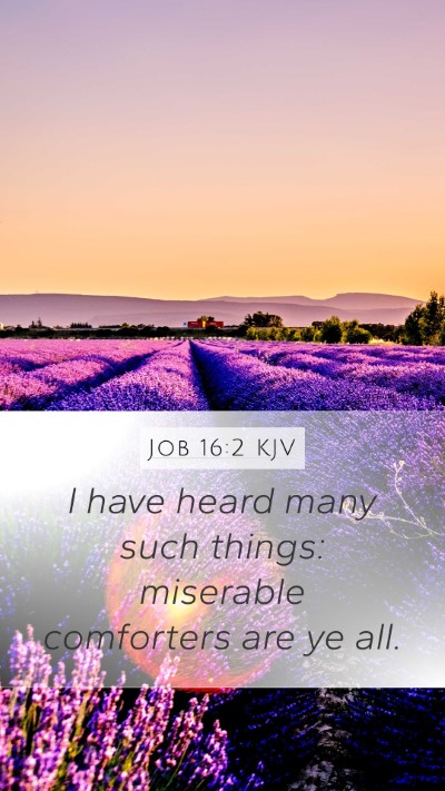 Job 16:2 Explained