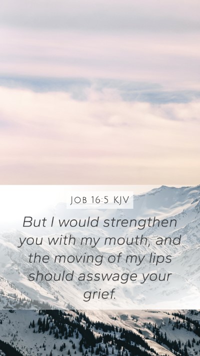 Job 16:5 Explained