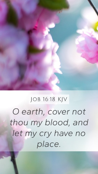 Job 16:18 Explained