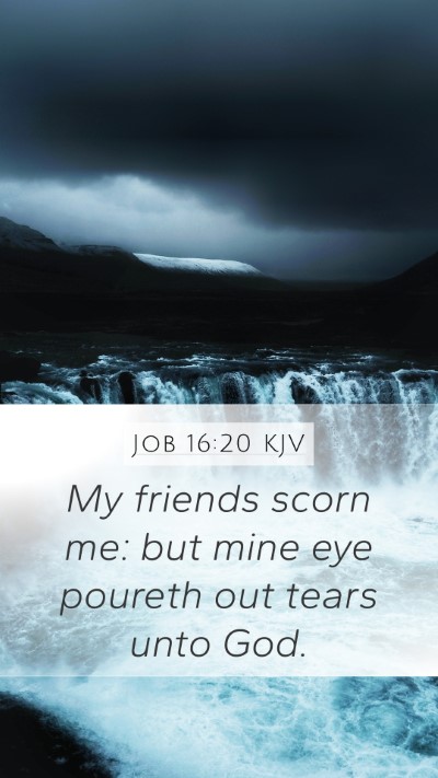 Job 16:20 Explained