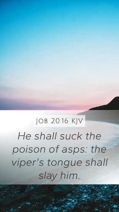 Job 20:16 Explained