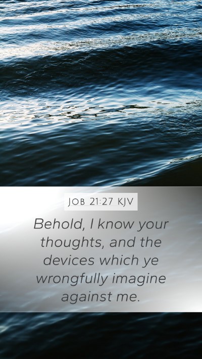Job 21:27 Explained