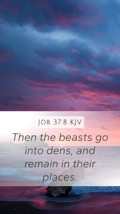 Job 37:8 Explained