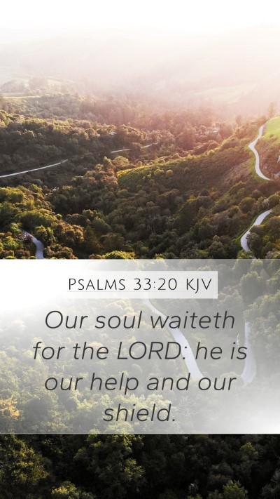 Psalms 33:20 Explained