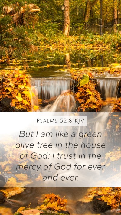 Psalms 52:8 Explained