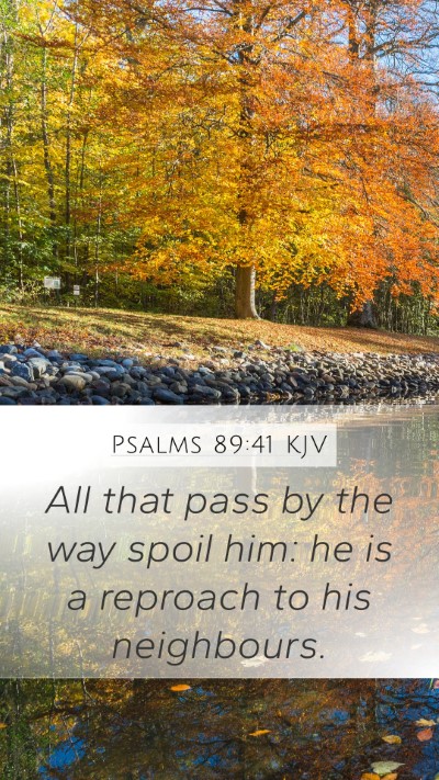 Psalms 89:41 Explained