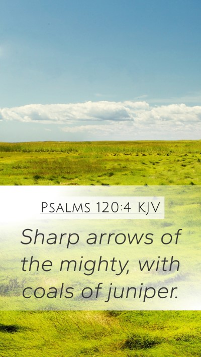 Psalms 120:4 Explained