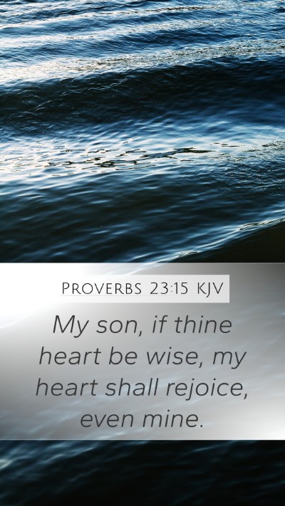 Proverbs 23:15 Explained