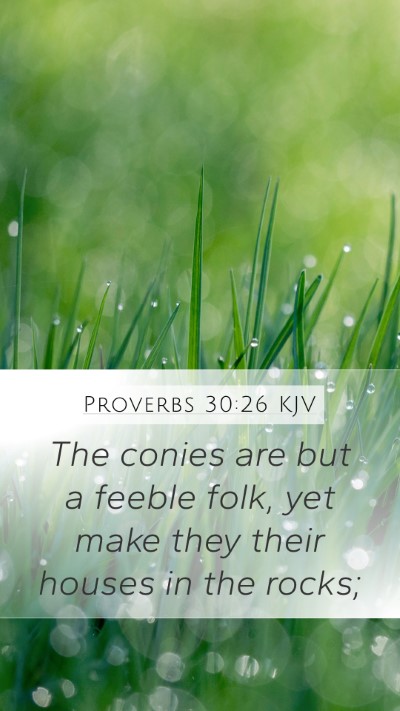Proverbs 30:26 Explained