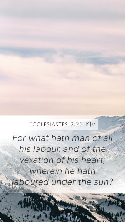 Ecclesiastes 2:22 Explained