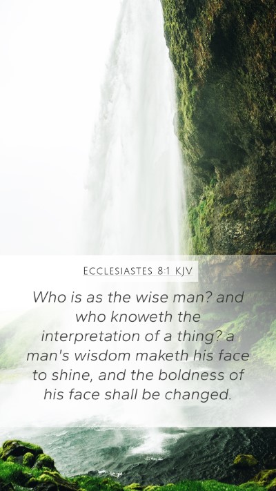 Ecclesiastes 8:1 Explained