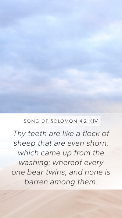 Song of Solomon 4:2 Explained