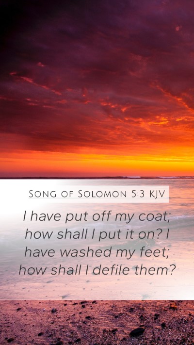 Song of Solomon 5:3 Explained