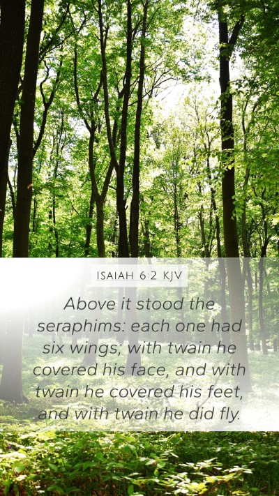 Isaiah 6:2 Explained