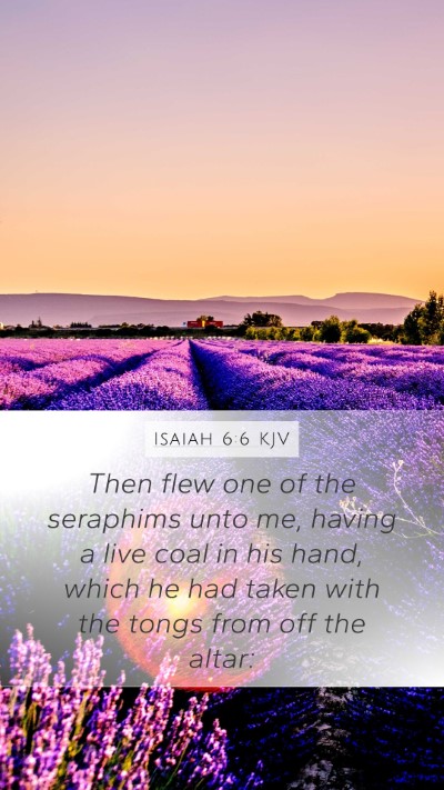 Isaiah 6:6 Explained