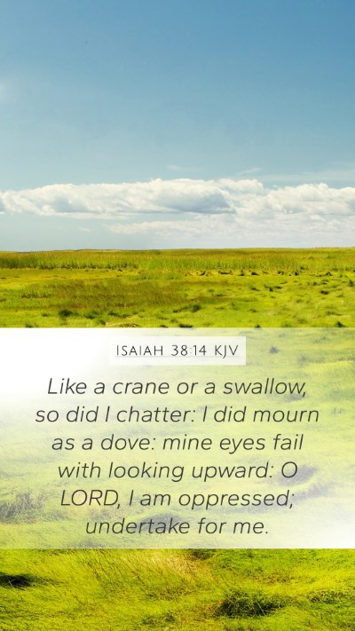Isaiah 38:14 Explained