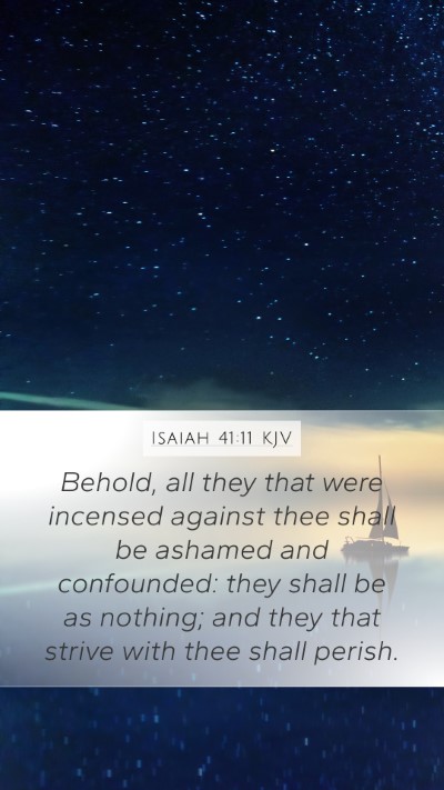 Isaiah 41:11 Explained