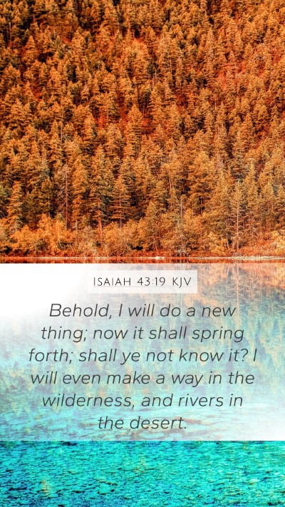 Isaiah 43:19 Explained