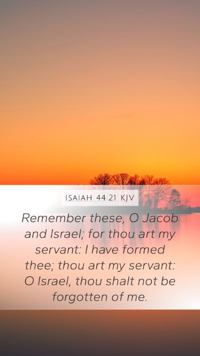 Isaiah 44:21 Explained