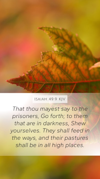 Isaiah 49:9 Explained