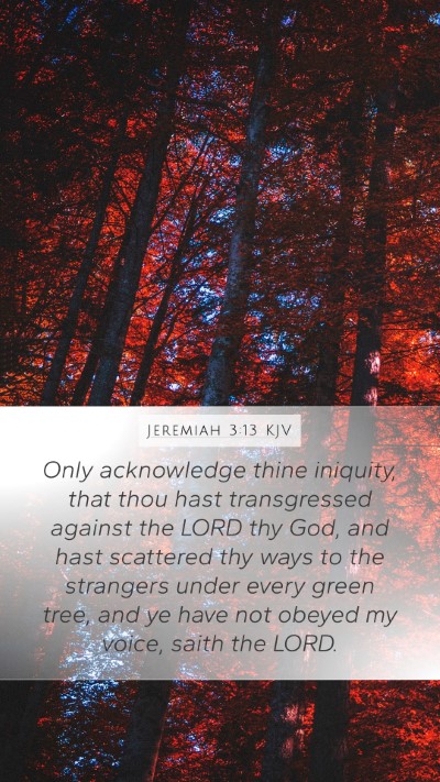 Jeremiah 3:13 Explained