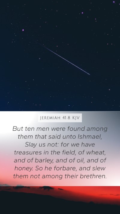 Jeremiah 41:8 Explained