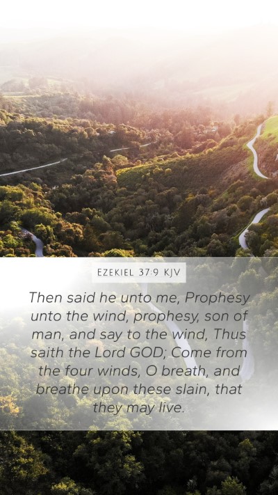 Ezekiel 37:9 Explained