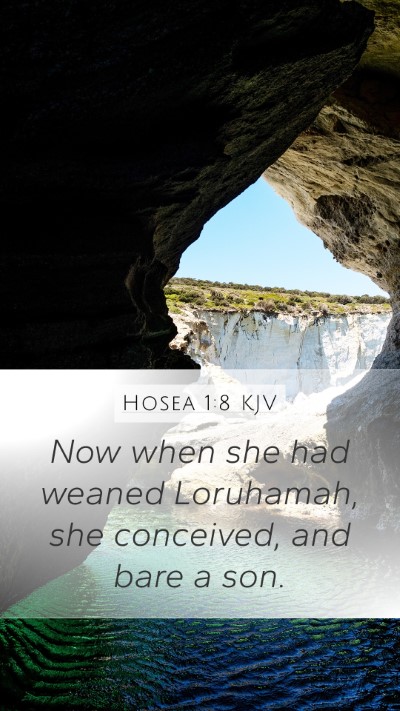 Hosea 1:8 Explained