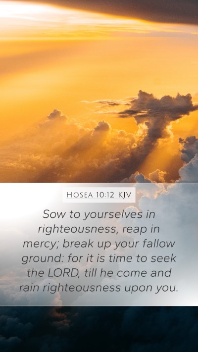 Hosea 10:12 Explained
