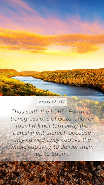 Amos 1:6 Explained
