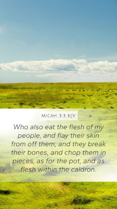 Micah 3:3 Explained