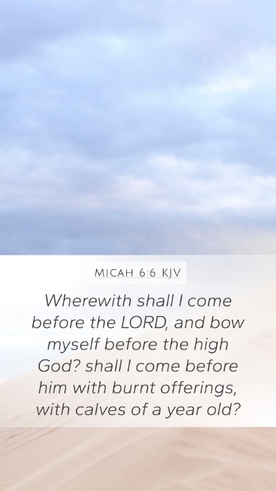 Micah 6:6 Explained
