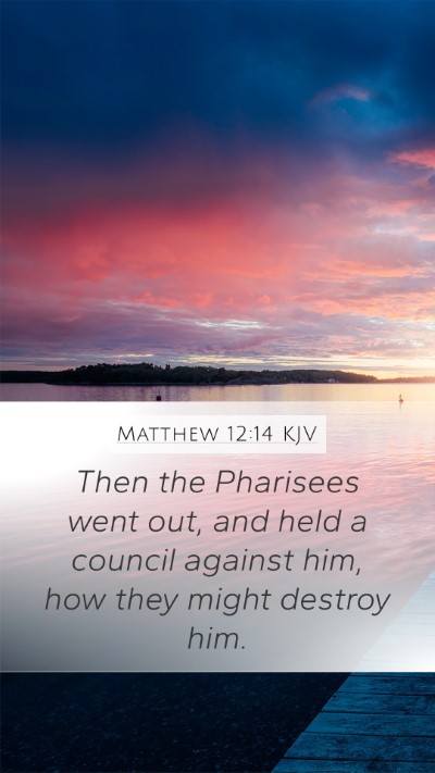 Matthew 12:14 Explained