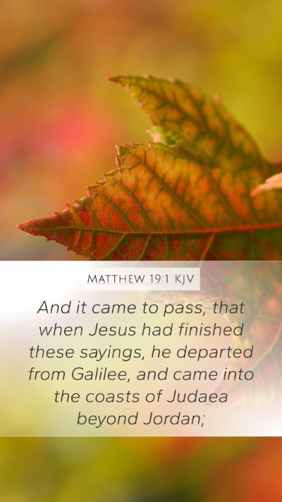 Matthew 19:1 Explained