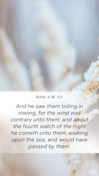 Mark 6:48 Explained