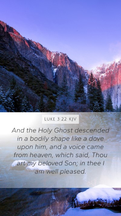 Luke 3:22 Explained