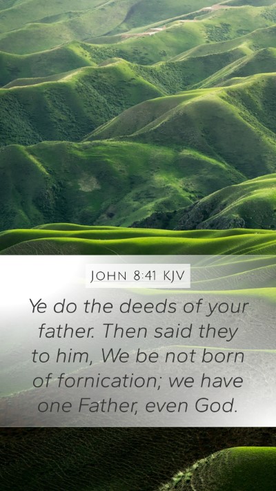 John 8:41 Explained